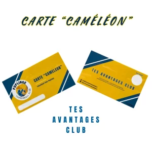 CARTE « CAMÉLÉON »